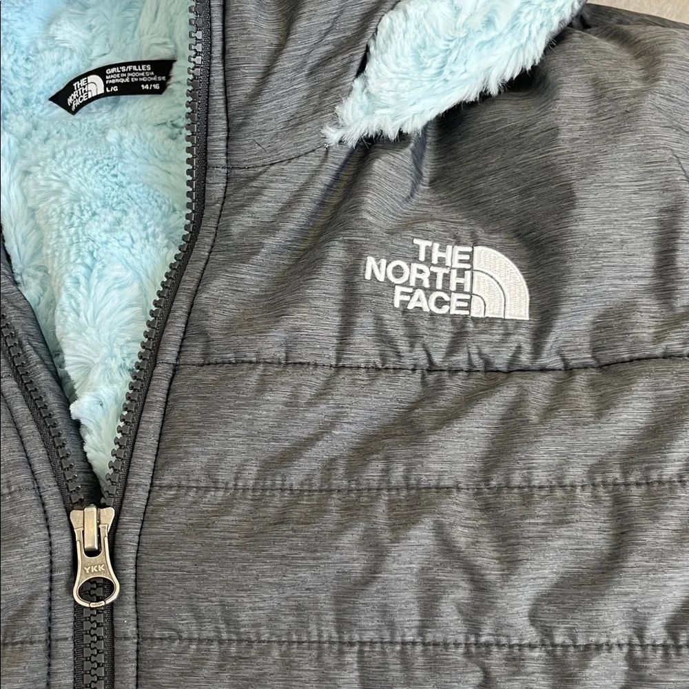 The North Face north face